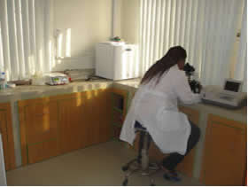 Laboratory